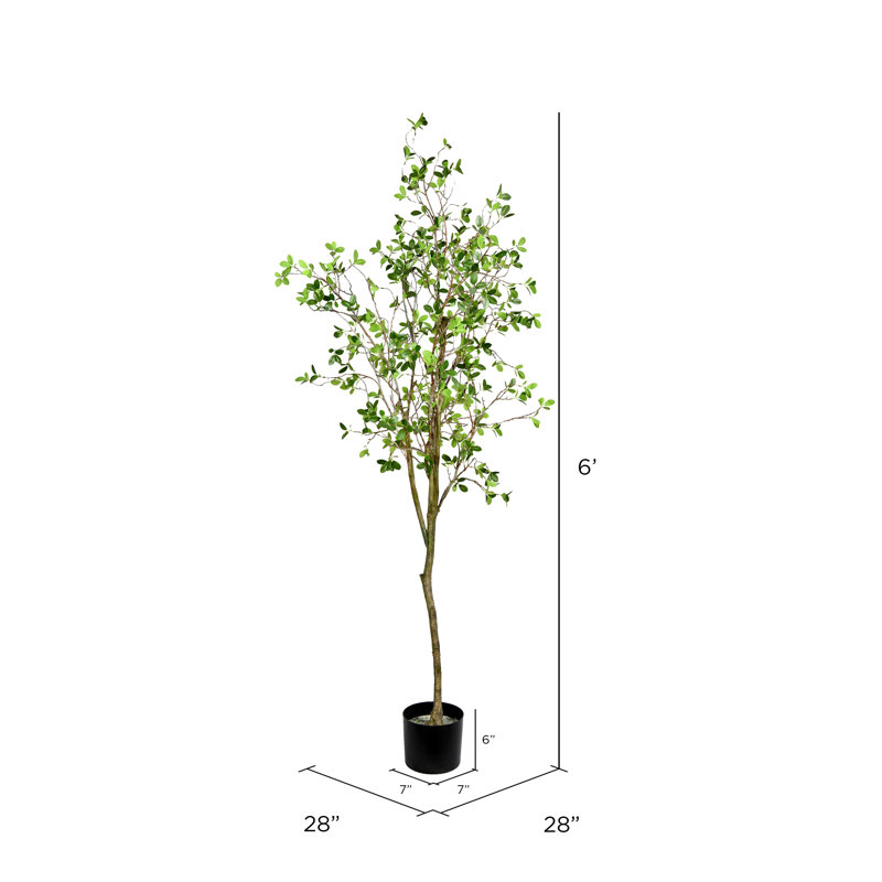 Beachcrest Home Artificial Potted Milan Leaf Tree in Black Planters Pot